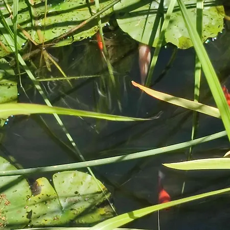 Chiemsee Refugium Amerang